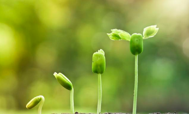 人真的可以逆生长吗?如何实现?