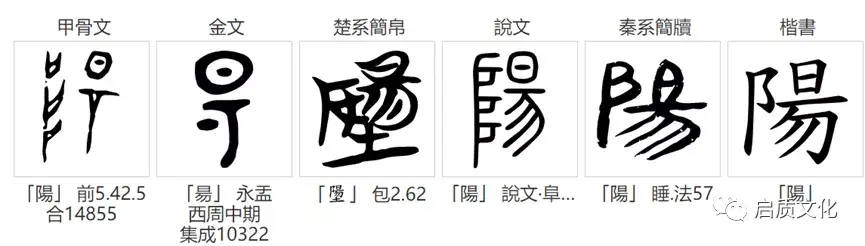 阳字演变图片