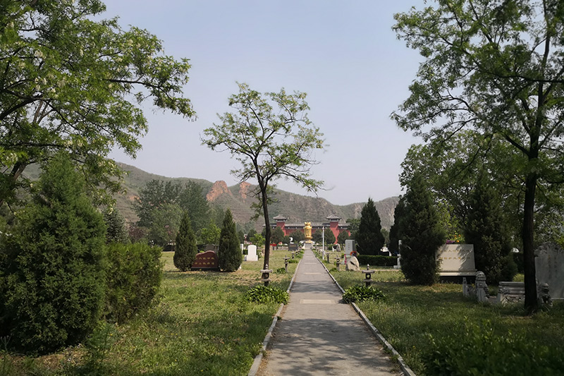 洛阳凤凰山公墓图片