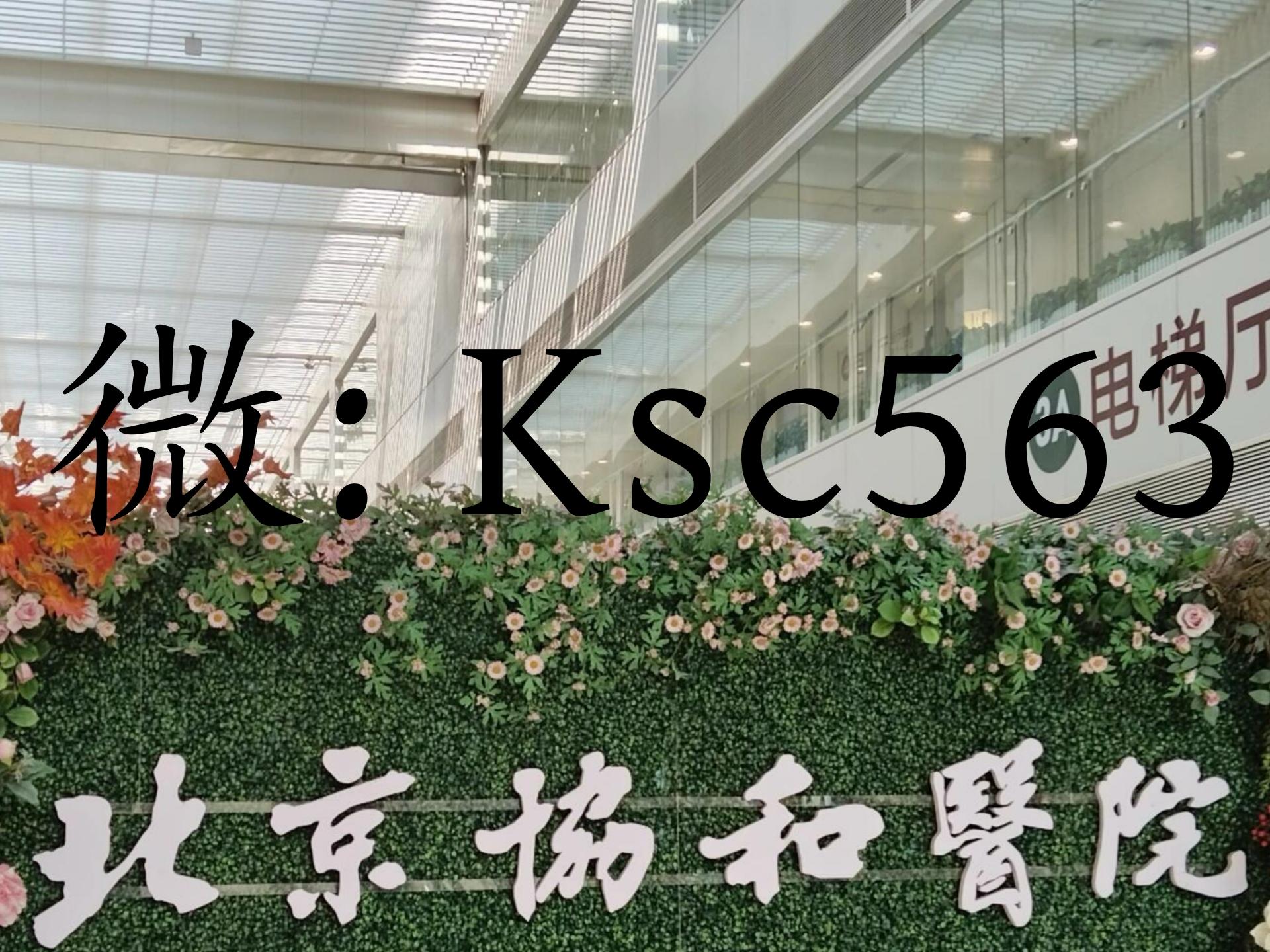 关于协和医院老年人看病代挂号儿童看病专人照看，家长格外放心的信息