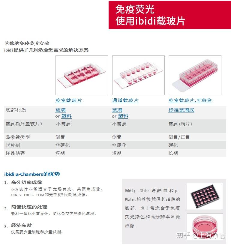 Ibidi应用指南|免疫荧光实验 - 知乎