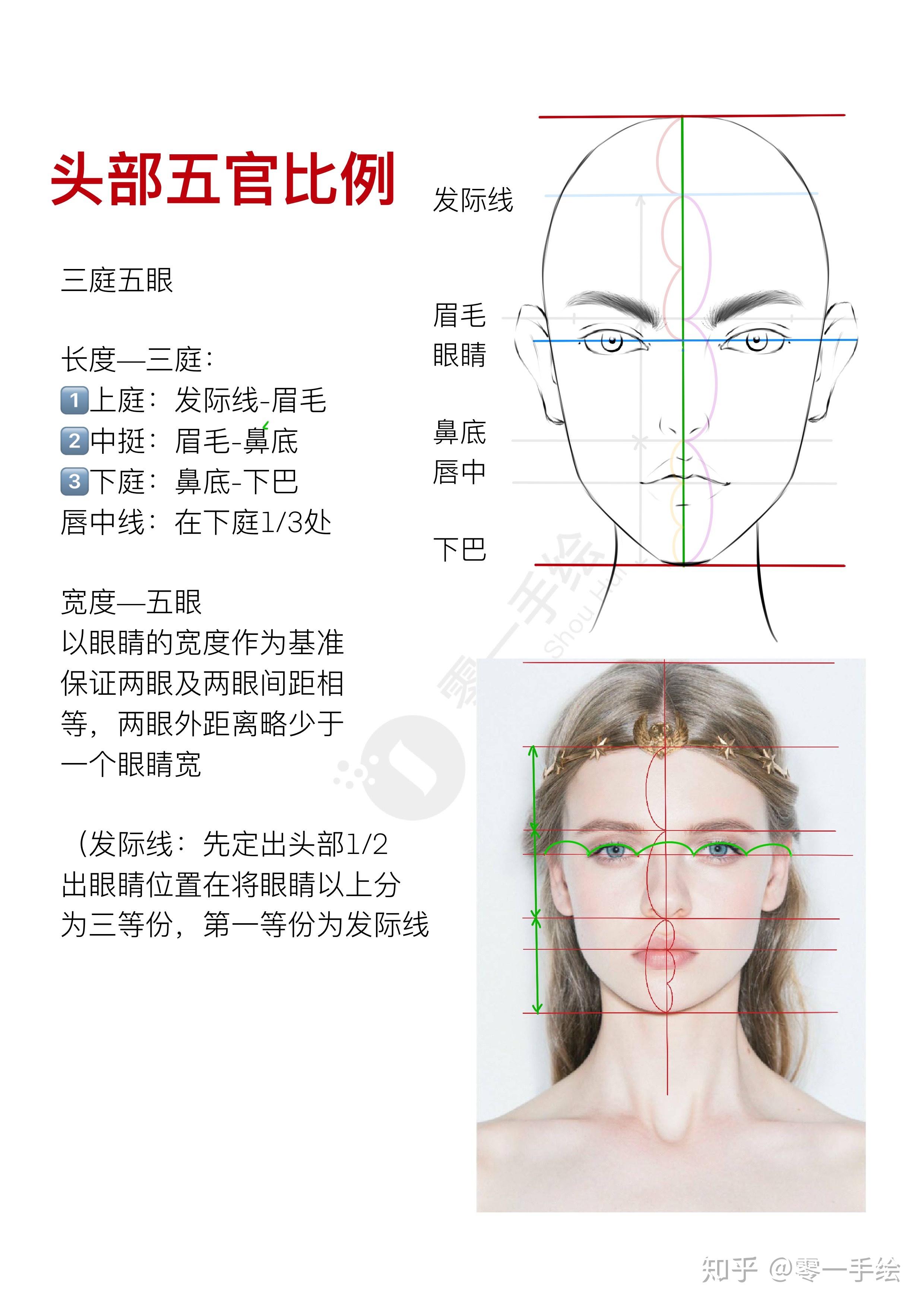 人脸的五官介绍图图片