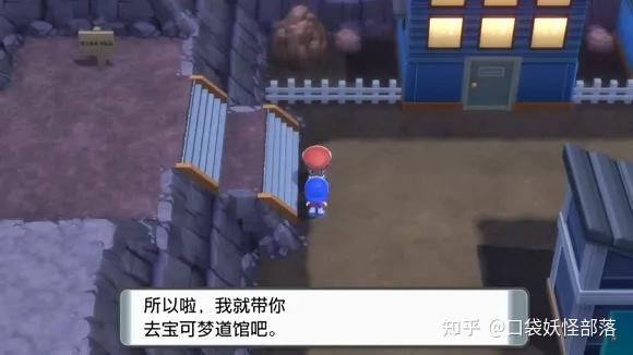 宝可梦晶灿钻石发售日期(《宝可梦晶灿钻石明亮珍珠》一周目图文攻略)  第21张
