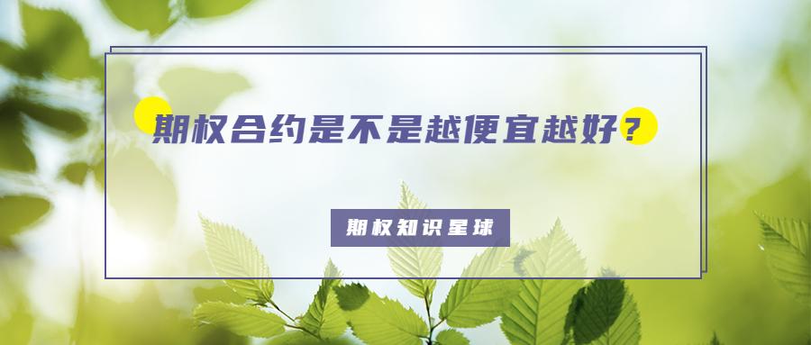 期权合约是不是越便宜越好