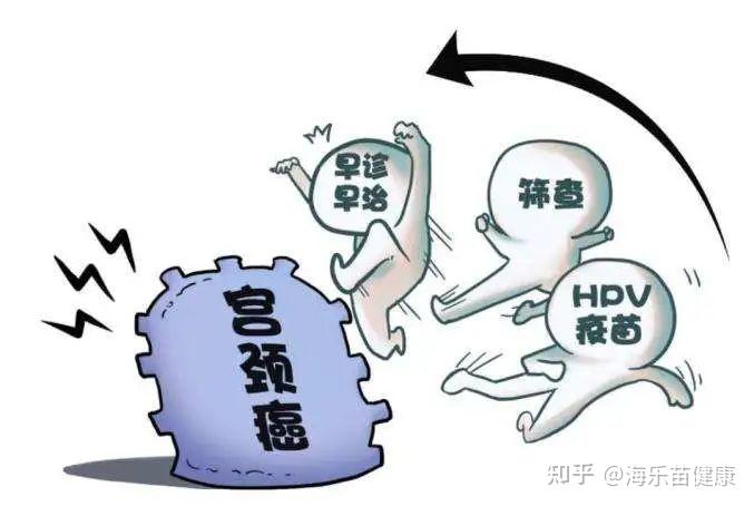 10岁男孩上游泳课感染hpv?