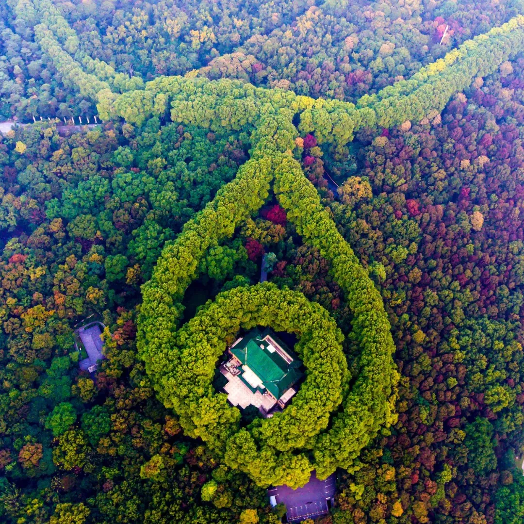 網紅南京這些地方你都打卡了嗎