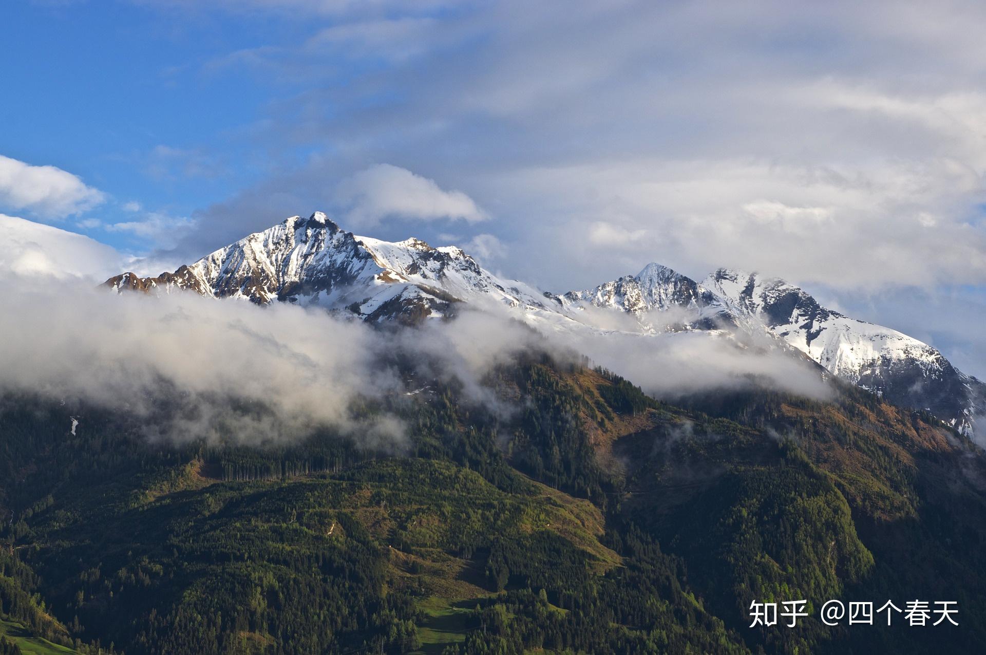 松茸图片松茸多少钱一斤 v2-a278a41e2a89491f1b261b182767902b_r.jpg