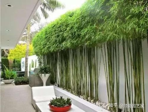 花园围墙栏杆没办法改动?这4个解决办法很实用,赶紧收藏起来吧