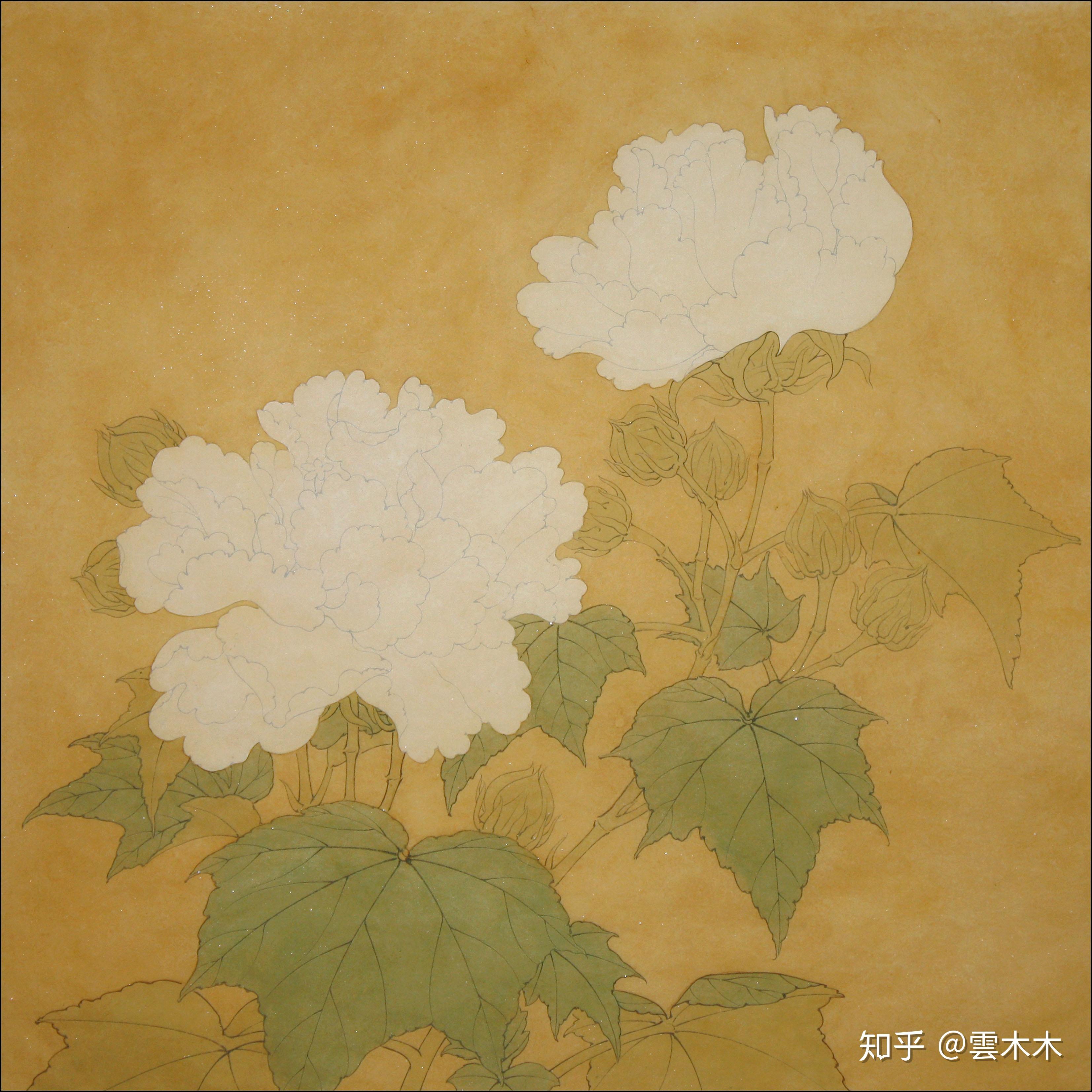 宋小品李迪红芙蓉国画工笔绘画步骤图