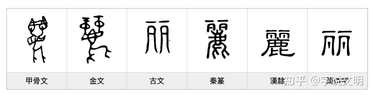 丽——每日一字·鹿部字 - 知乎
