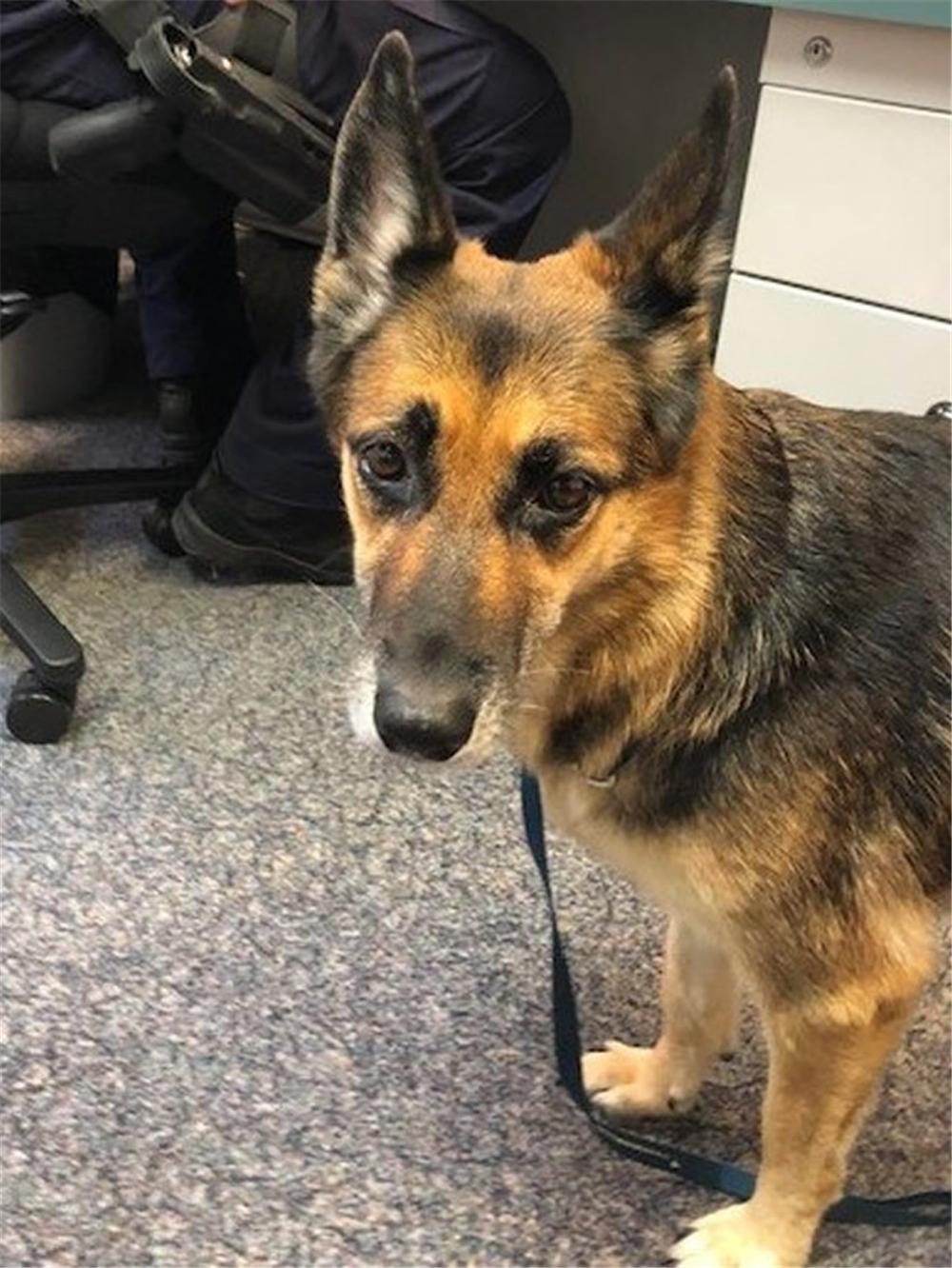 v2-a2c1fd125ea055c477e5d9890b716a93_r.jpg