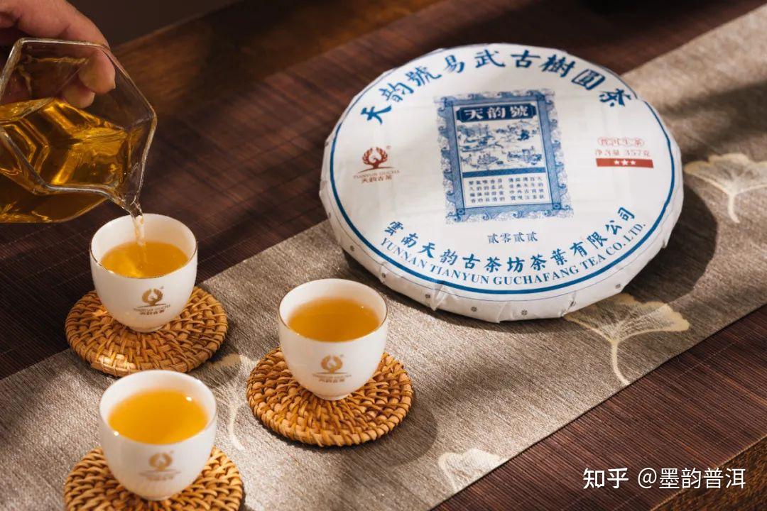 一韵越千年,揭秘古茶树的价值及存在意义 - 知乎