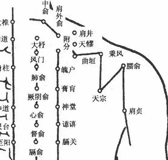 鎖骨胛骨押巨骨,正當腋下極泉出兩穴平開肩髎續,腋紋一寸肩貞取肩頭陷