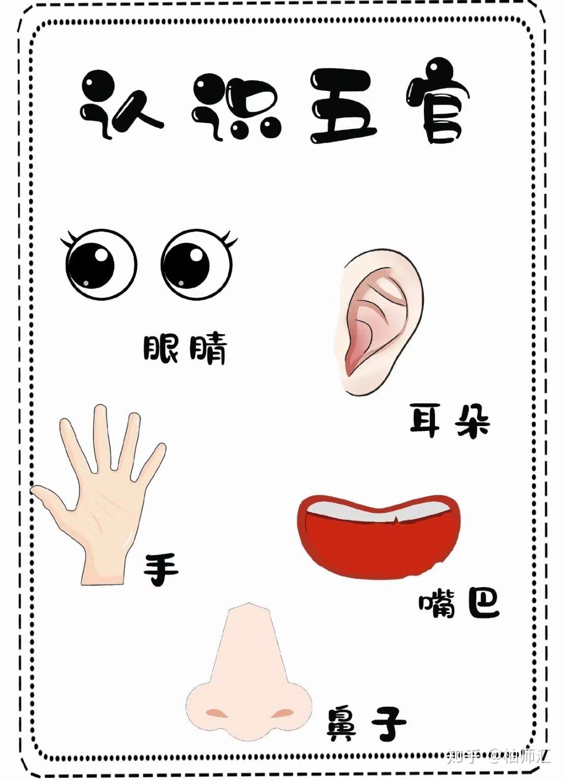 幼儿园认识五官|可直接打印使用 - 知乎