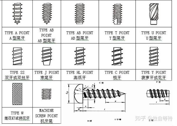 螺丝构造名称图片