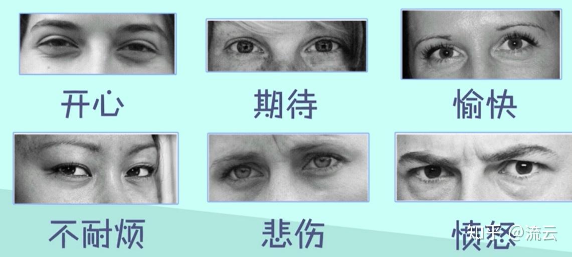 第6章 情绪体验和压力调节 - 知乎