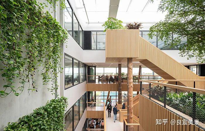 生长中的公共空间 | 学校建筑室内设计佳作 - 知乎