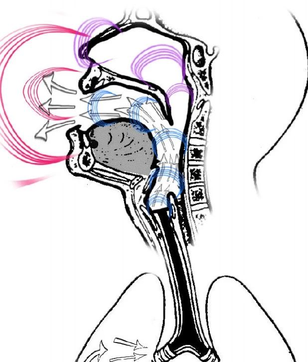 v2-a32badc8319f920c26235cda7b5f155f_r.jpg