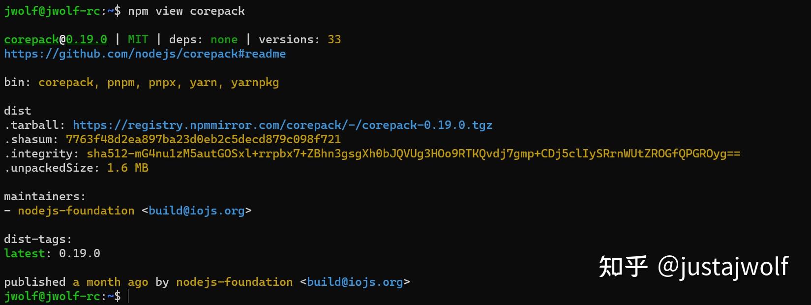Corepack nodejs 