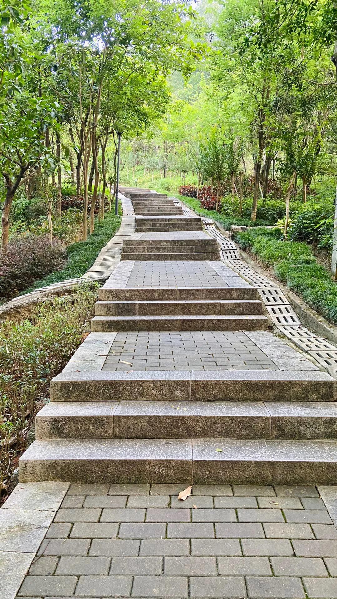 深圳黄金山公园,趁周末节假日游玩龙岗坂田"绿心公园—黄金山公园