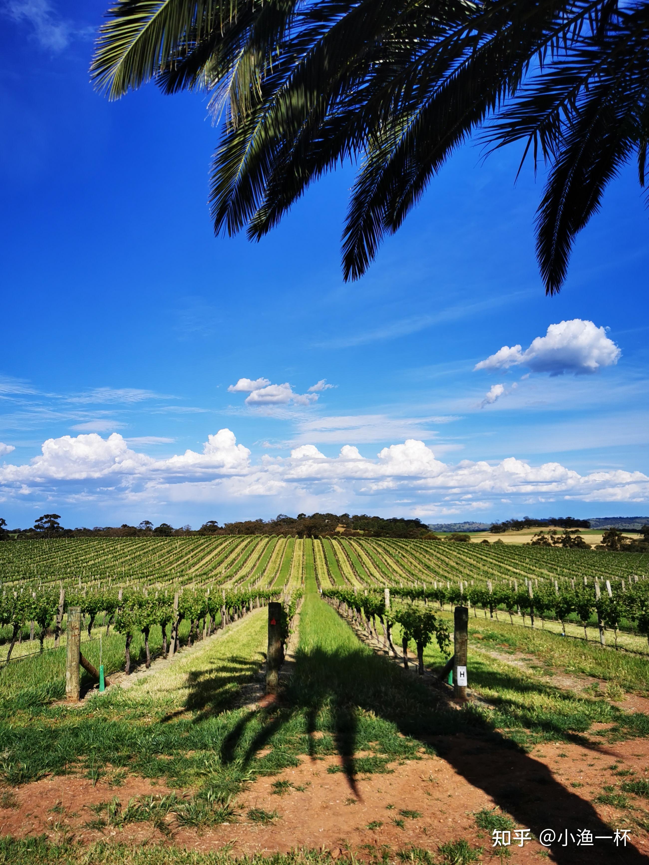 亘古酒庄(domaine a)位于澳大利亚南端风光秀丽的塔斯马尼亚(tasmania