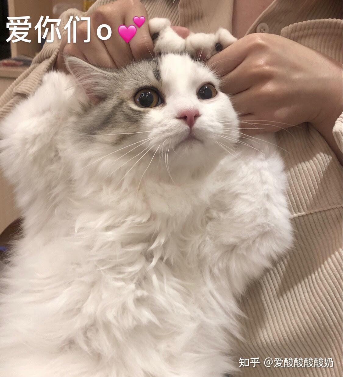 为什么这几天总是梦见已经去世的男朋友要和我分手？有时间梦的我，该如何解读？