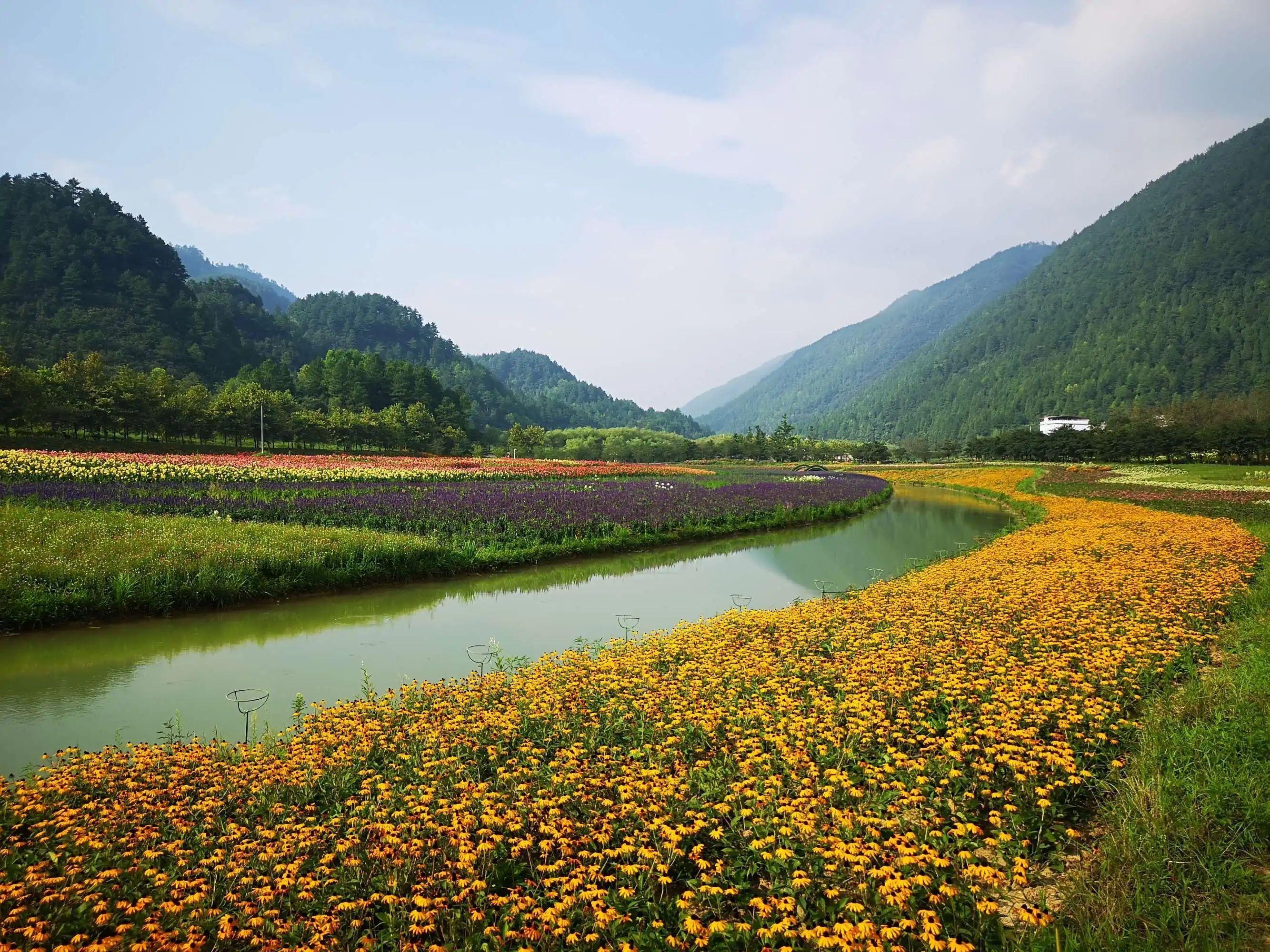 重庆大木花谷景区门票图片