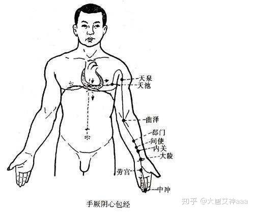 這四個地方通了心肝脾肺腎竟然都好了