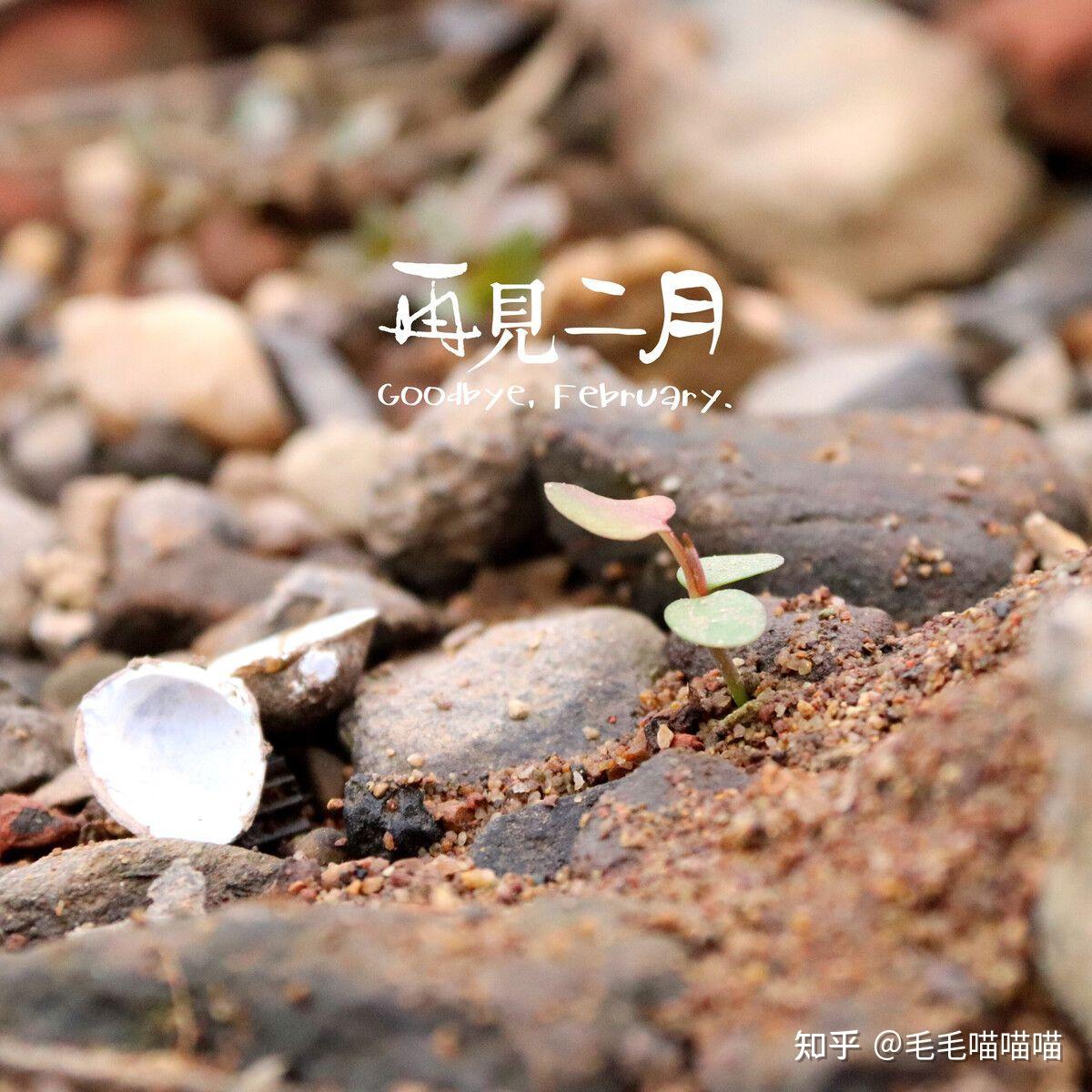 人间清醒的二月最后一天 - 知乎