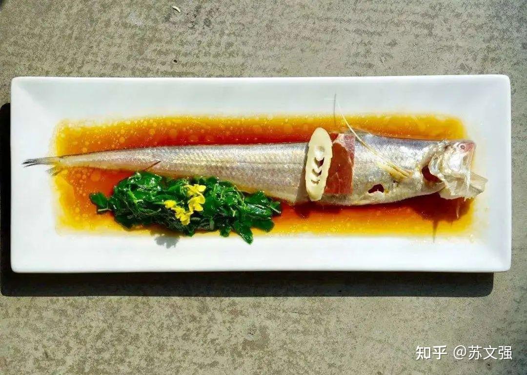 苏州刀鱼 - 知乎