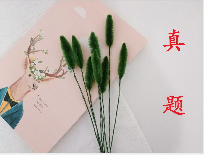 19年1月杭州中学科学真题 知乎