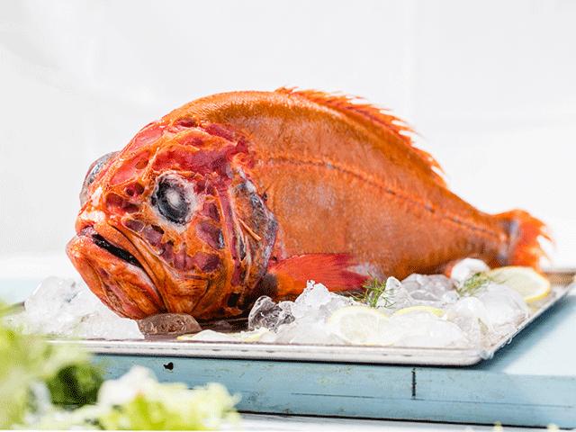 长寿鱼营养丰富,体内含有二十几种人体所需的微量元素,维生素及多种