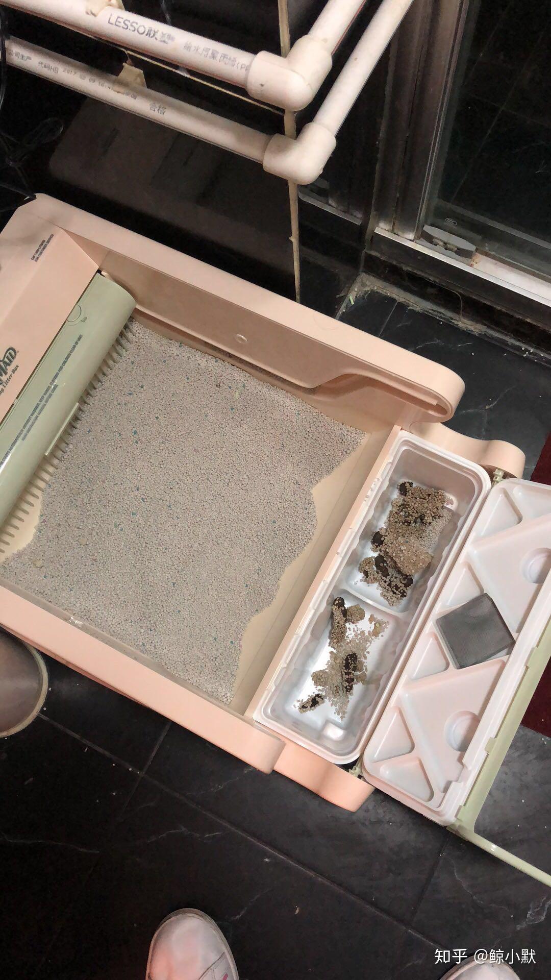 请问你用过自动猫砂盆吗?它有哪些优缺点?