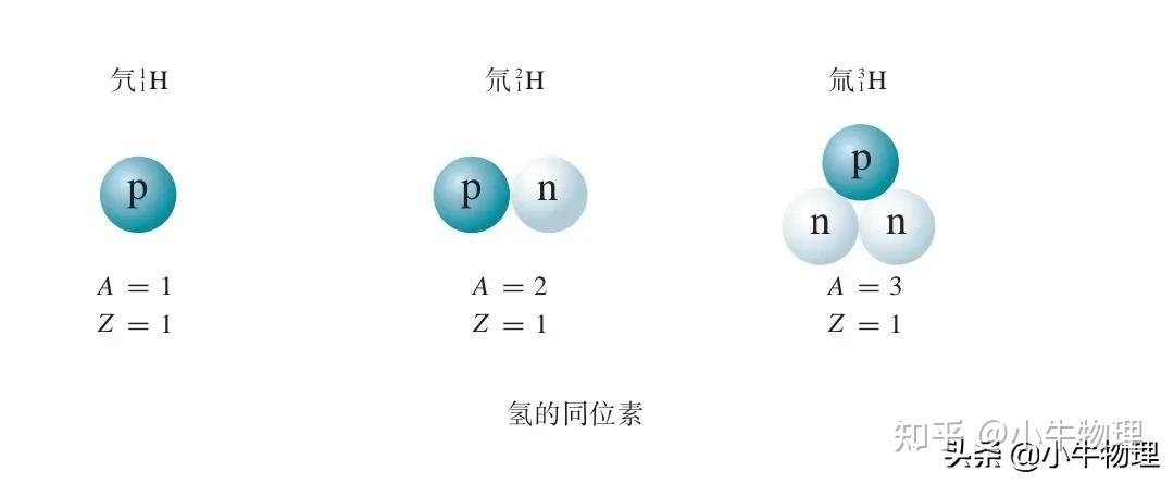 原子核的组成 