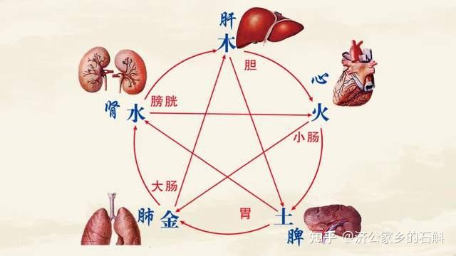为什么62岁费翔看起来像40多,不老容颜是如何养成的? - 知乎