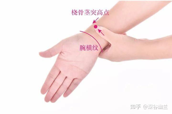 透过解剖经渠穴处查病因 - 知乎