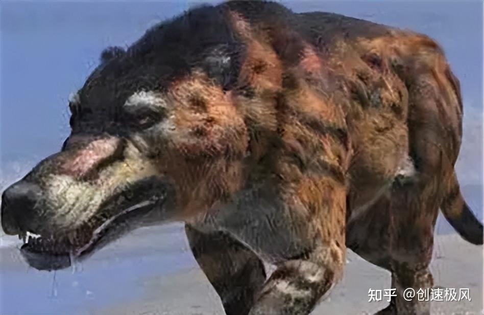 神奇现象！已灭绝50万年的沙犷再度现身神农架！ - 知乎