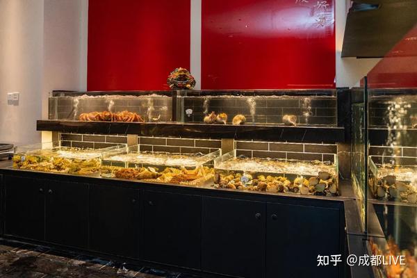 独家专访｜新荣记张勇，解读成都首店的三味真火 - 知乎