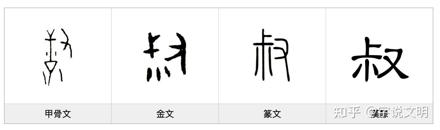 叔——每日一字·又部字 - 知乎