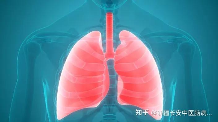 中医说的「痰」到底是什么? - 知乎