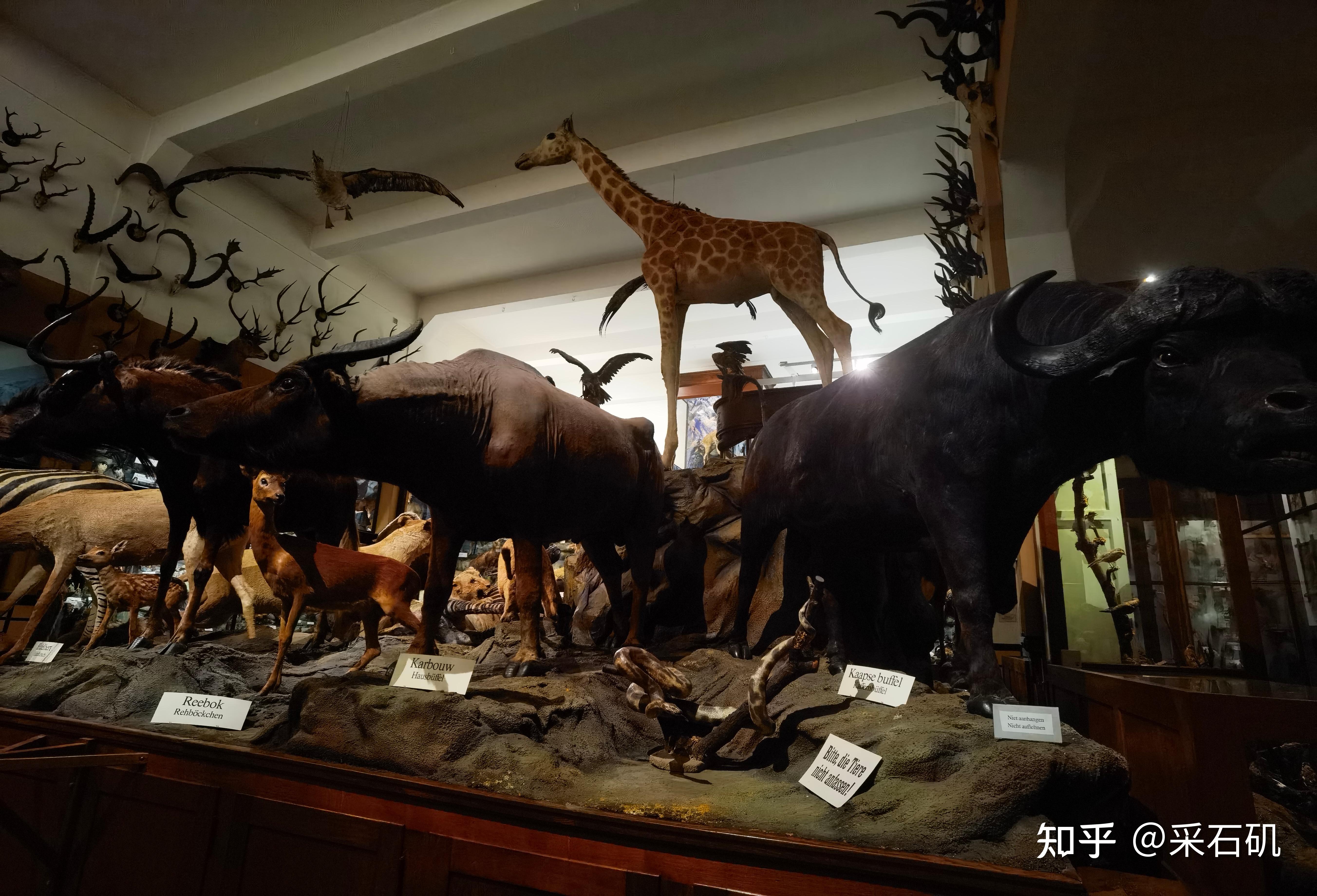 该博物馆主要展示与天主教传教士相关的展品,包括家庭用品,传教士照片