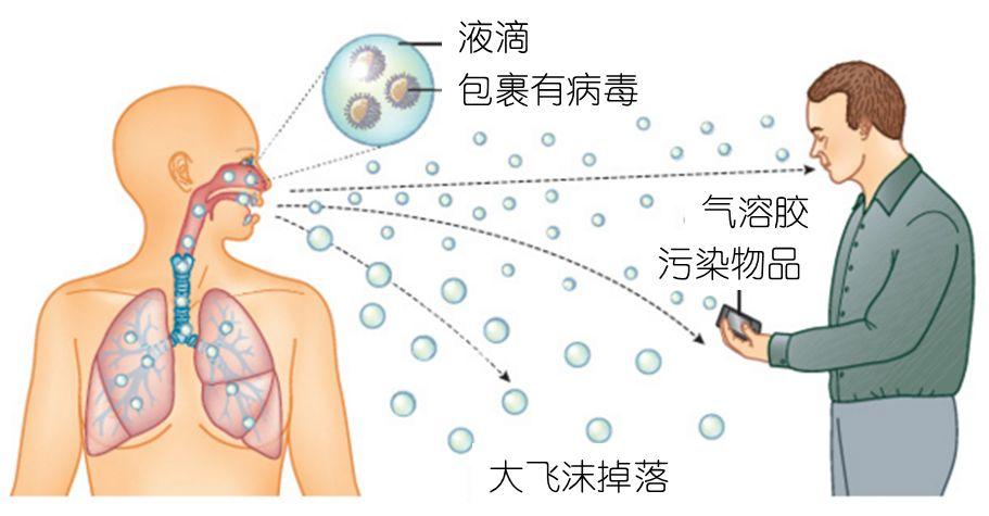 新冠病毒感染过程图解图片