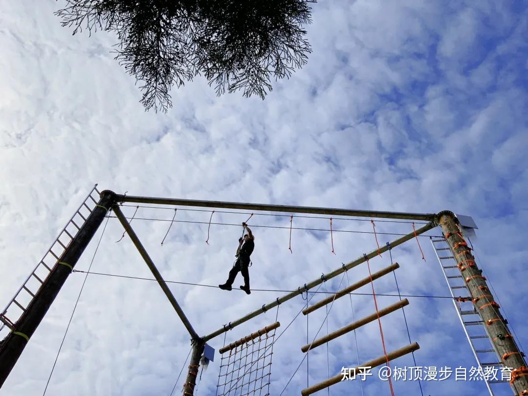仙女山树顶漫步团建产品上线,欢迎来撩! - 知乎