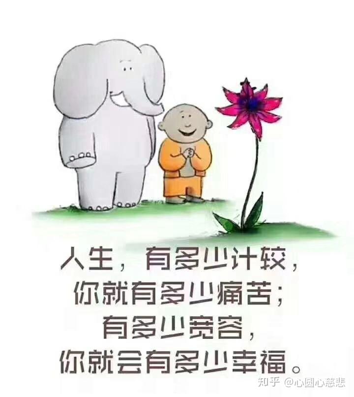 不能用别人的标准来衡量自己的人生
