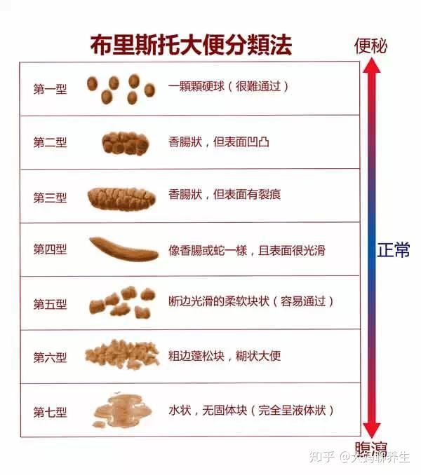 幼猫正常粪便的样子 (幼猫正常粪便图片)