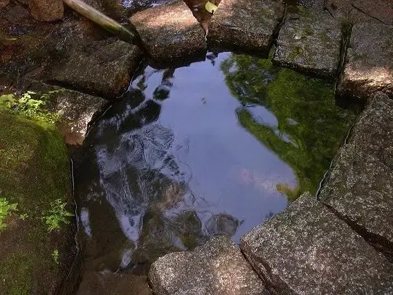 也路過那個山泉,也想去喝口水,沒想到一靠近泉眼,就看到有一條碗口粗