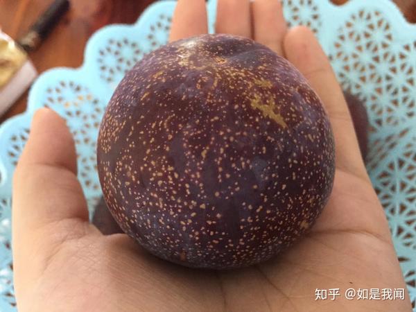 檇李之战与果中珍品--檇李