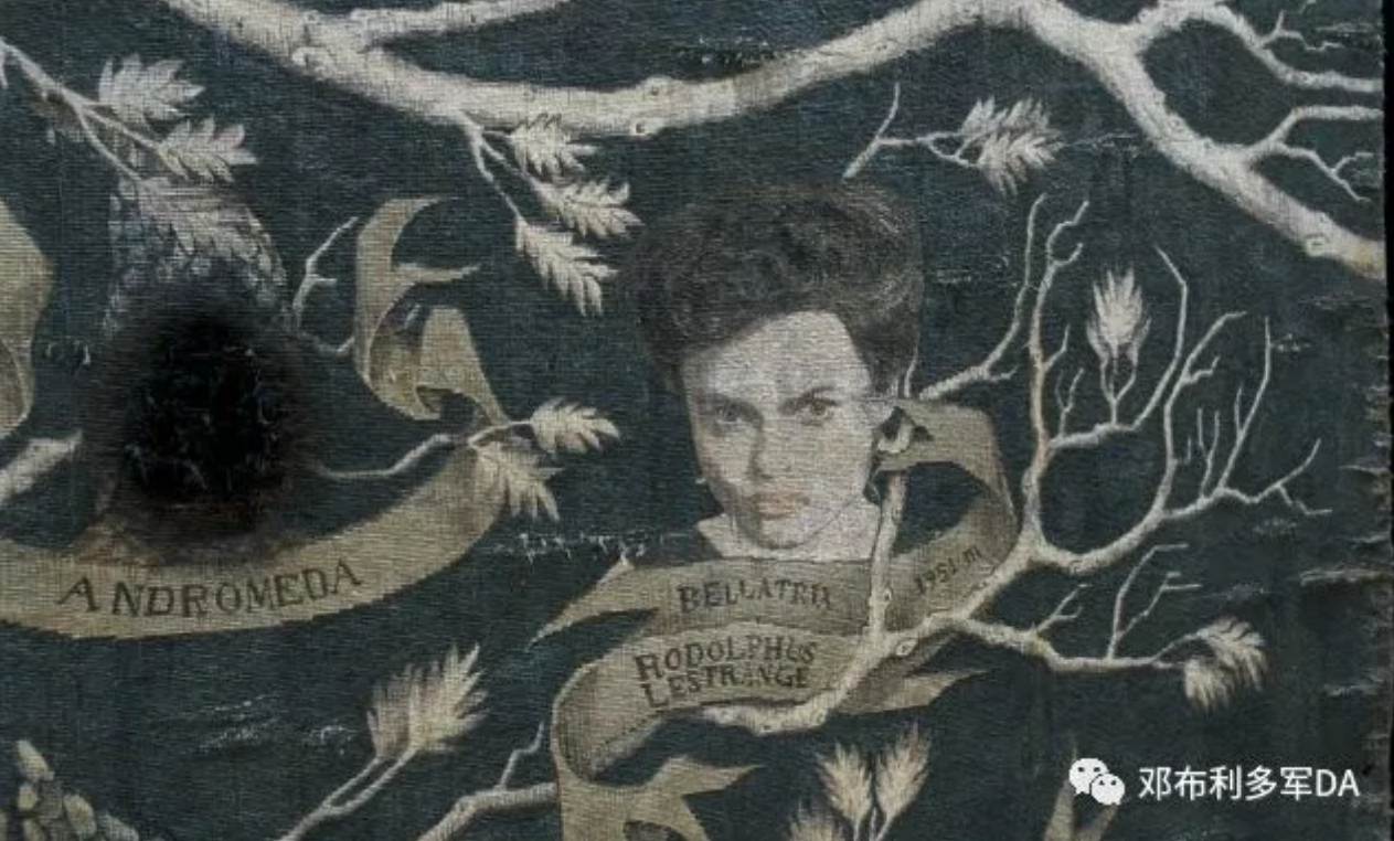 hp官设pottermore家养小精灵克利切