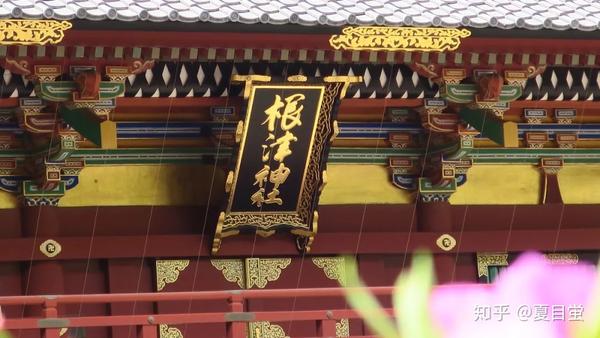 东京 根津神社 杜鹃花丛中的散步 根津神社 东煤网