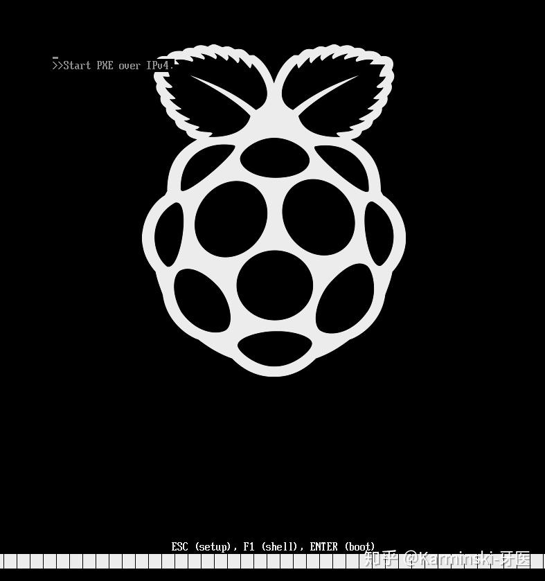 树莓派的100种玩法3树莓派4安装esxi
